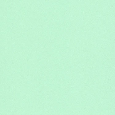 Eucalyptus